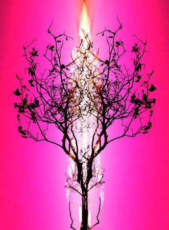 Ornamenal tree on colorful background, computter collageの写真素材