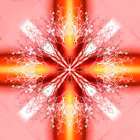 Beautiful ornamental mandala with tree pattern, symbol of lifeの写真素材