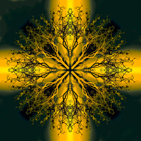 Beautiful ornamental mandala with tree pattern, symbol of lifeの写真素材