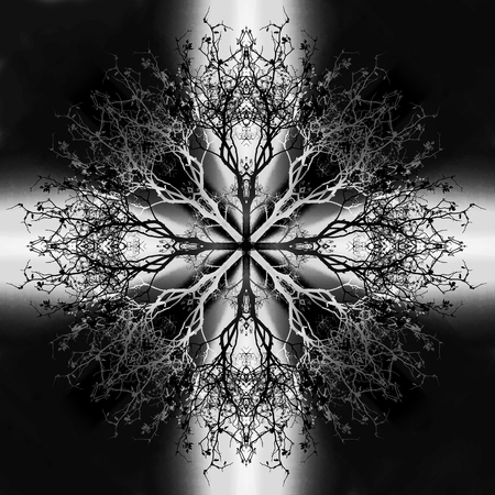 Beautiful ornamental mandala with tree pattern, symbol of lifeの写真素材