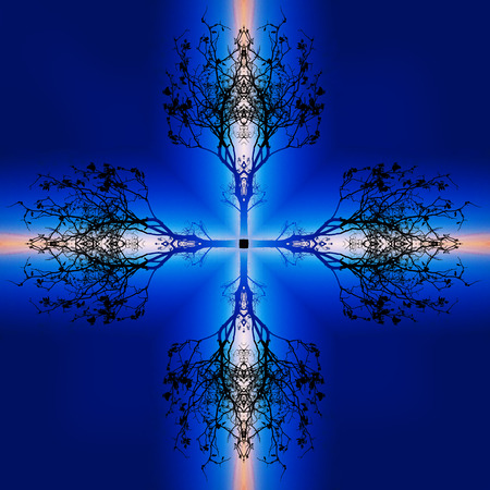 Beautiful ornamental mandala with tree pattern, symbol of lifeの写真素材