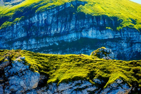 beautiful details of alpine mountain landscape on bright summer dayの写真素材