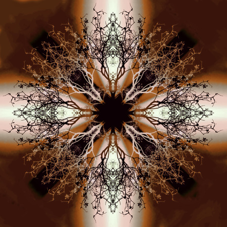 Beautiful ornamental mandala with tree pattern, symbol of lifeの写真素材