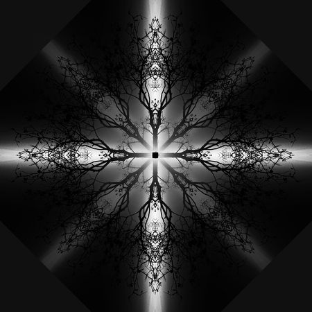 Beautiful ornamental mandala with tree pattern, symbol of lifeの写真素材