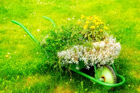 decorative garden wheelbarrow with bunch of plants on green grass backgroundの写真素材