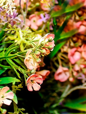 Abstract colorful design with flower. Computer graphic from photographyの写真素材