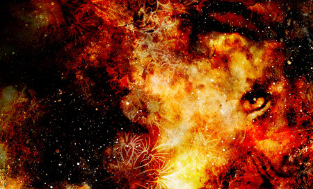 mystical animal eye in space, multicolor computer graphic collageの写真素材