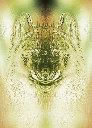 mystical smiling jackal appearence, computer metal effect graphic collageの写真素材