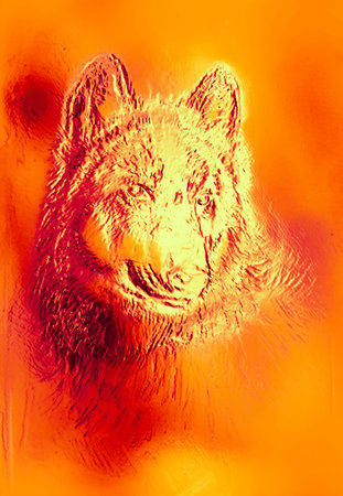 magical space wolf, multicolor computer graphic collage. Metal and fire effectの写真素材