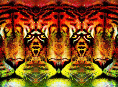 tiger face ornamental collage with repeated features, computer graphic