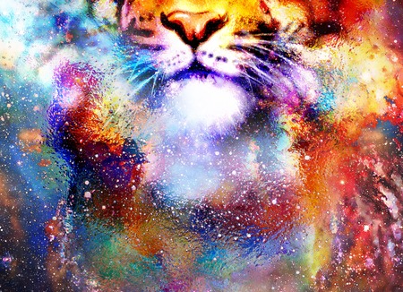 magical space tiger, multicolor computer graphic collageの写真素材