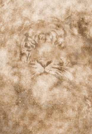 cosmic tiger face on abstract structured background with sepia effectの写真素材