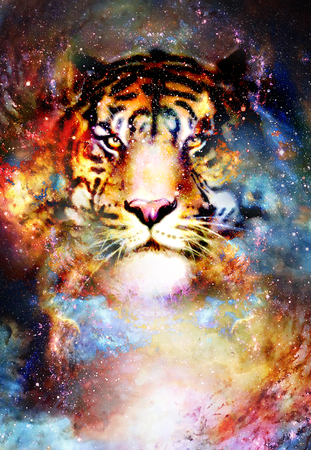 magical space tiger, multicolor computer graphic collageの写真素材