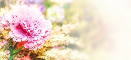 decorative floral graphic with carnation flower and copy space. gift card motive.の写真素材