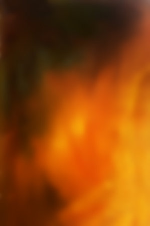 gentle blurry background in beautiful warm tones, oil painting detail.