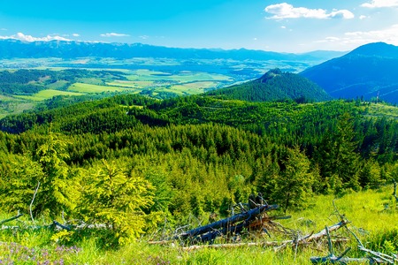 Beautiful landscape, forest and meadow and lake with mountain in background. Slovakia, Central Europe.の写真素材