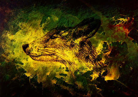 Fox portrait, pencil drawing on paper and magical color effect.の写真素材