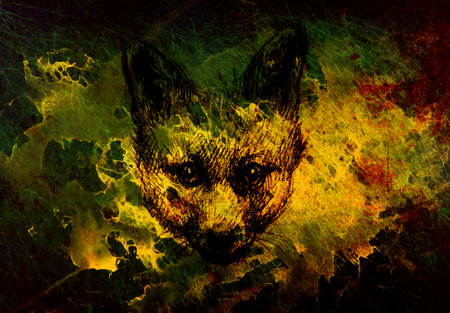 Fox portrait, pencil drawing on paper and magical color effect.の写真素材