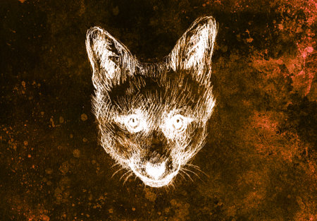 Fox portrait, pencil drawing on paper and color effect.