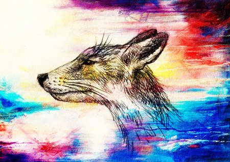 Fox portrait, pencil drawing on paper and color effect.の写真素材