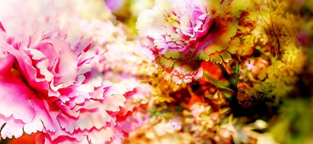 decorative floral bouquet with carnation flower and bookeh background, computer graphic from photography.の写真素材