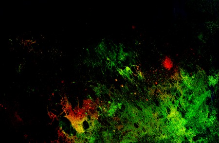 abstract background. Color background with spots. Green and black color.の写真素材