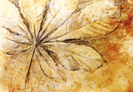 Pencil drawing on old paper, chestnut leaf and color spots on background.の写真素材