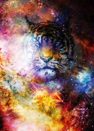 magical space tiger and mandala, multicolor computer graphic collage.の写真素材