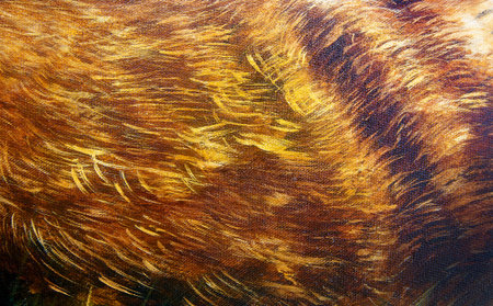 detail of animal fur structure, hand painted and graphic background.