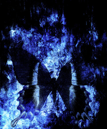 butterfly and abstract background. Winter effect.の写真素材