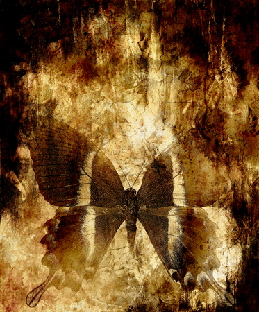 butterfly and abstract background. Old sepia effect.の写真素材
