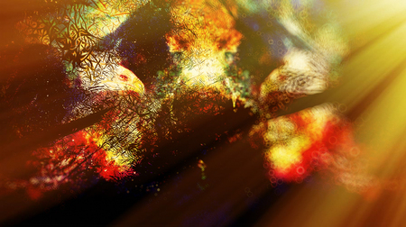 Eagle on abstract color background. Profile portratit. Light effect.の写真素材