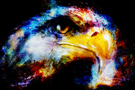 Eagle on abstract color background. Profile portratit.の写真素材