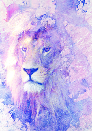 Lion face and graphic effect. Computer collage. Marble effect.の写真素材