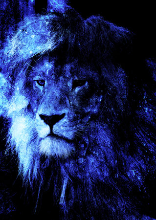 Lion face and graphic effect. Computer collage.の写真素材