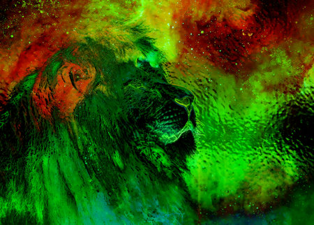 Lion in the cosmic space. Lion photos and graphic and glass effect.の写真素材