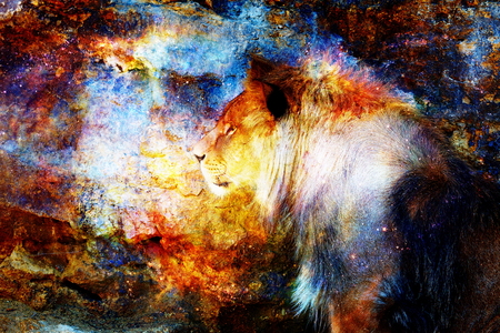 Lion and light cosmic effect. Lion photos and graphic effect.の写真素材