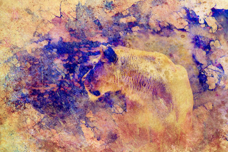 lioness and graphic effect. Computer collage. Marble effect.の写真素材