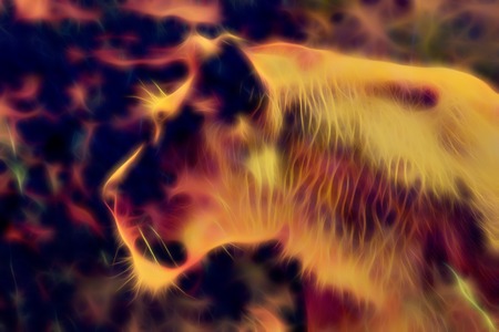 Beautiful lioness and fractal effect. Computer collage.の写真素材