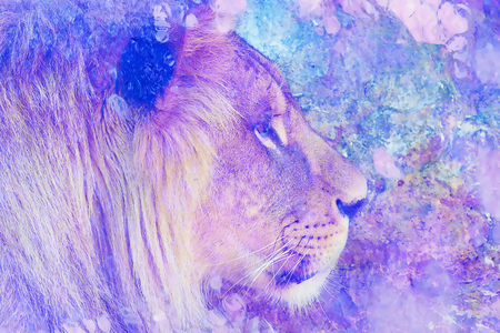 Lion face and graphic effect. Computer collage. Marble effect.の写真素材