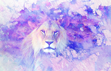 Lion face and graphic effect. Computer collage. Marble effect.の写真素材
