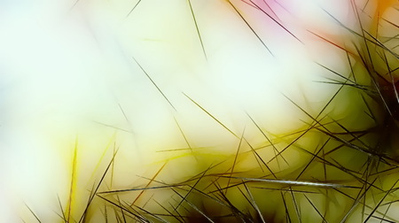 background pattern with fractal needle structures and blurred radiant lightsの写真素材