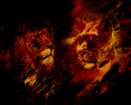 Lion couple - lion and lioness, on abstract structured background.の写真素材