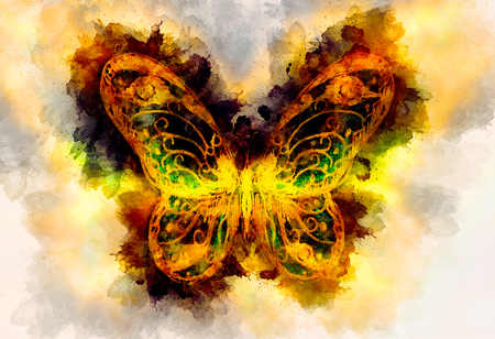 Light yellow butterfly and color structure bckground.の写真素材