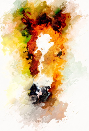 cub horse face on abstract background. water effect.の写真素材