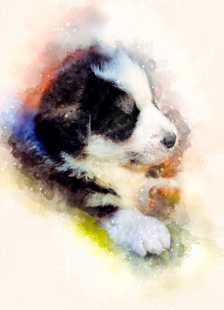 puppy dog and Softly blurred watercolor background.の写真素材