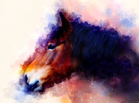 horse face and softly blurred watercolor background.の写真素材
