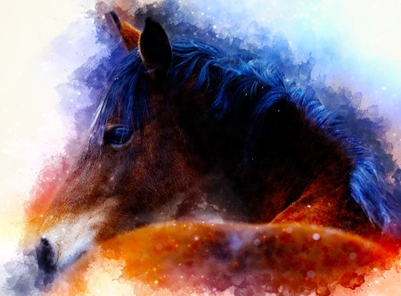 horse face and softly blurred watercolor background.の写真素材