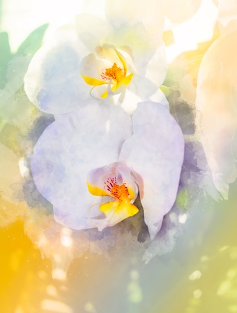 Orchids flower and Softly blurred watercolor background.の写真素材