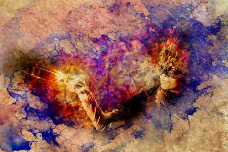 girl with shamanic feather mask in woodland surroundings. Graphic collage.の写真素材